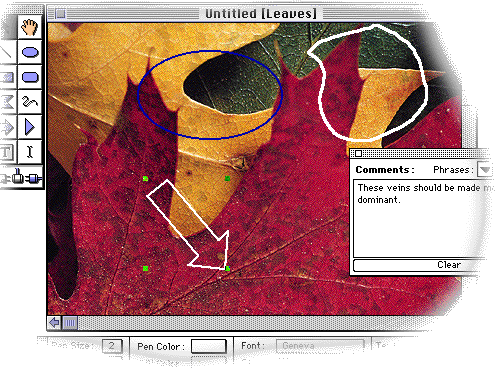 Scitex — Echo — image 2