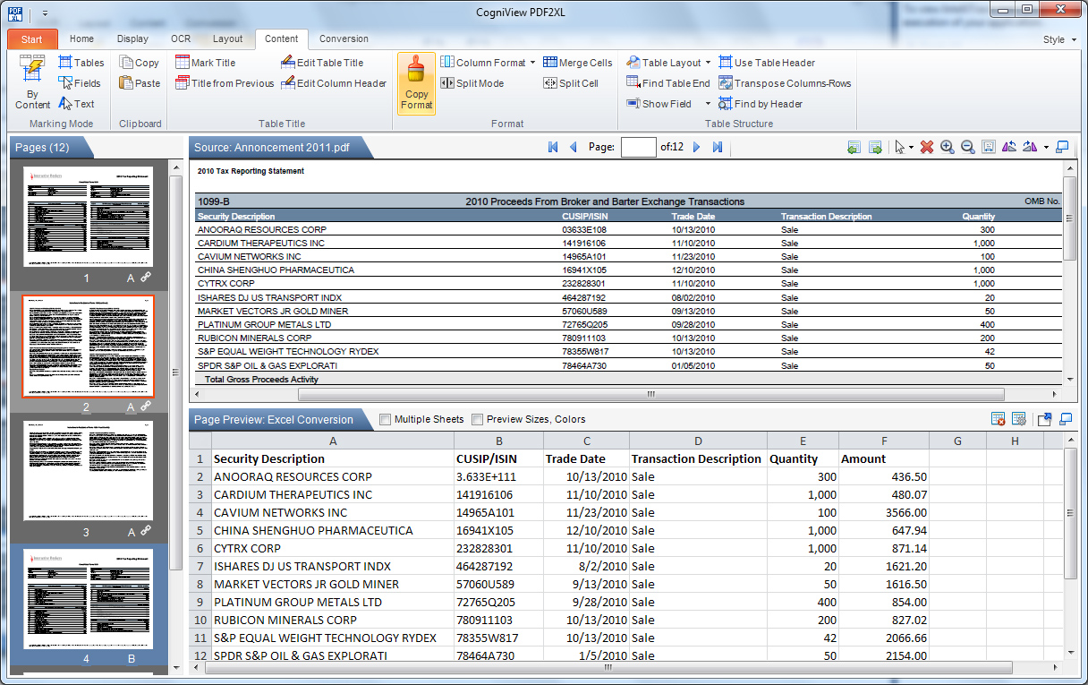 CogniView — PDF2XL — image 6
