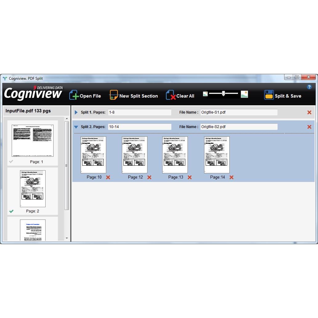 CogniView Split PDF